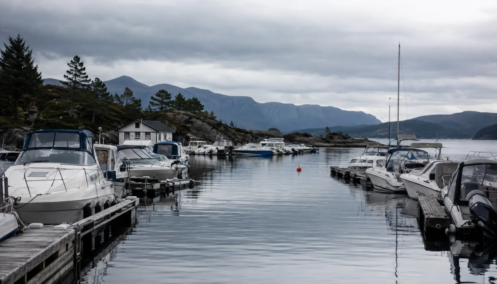 Rolig norsk marina med rekker av fortøyde fritidsbåter langs trebrygger.